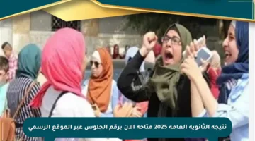 نتيجة الثانوية العامة 2025 متاحة الآن برقم الجلوس عبر الموقع الرسمي